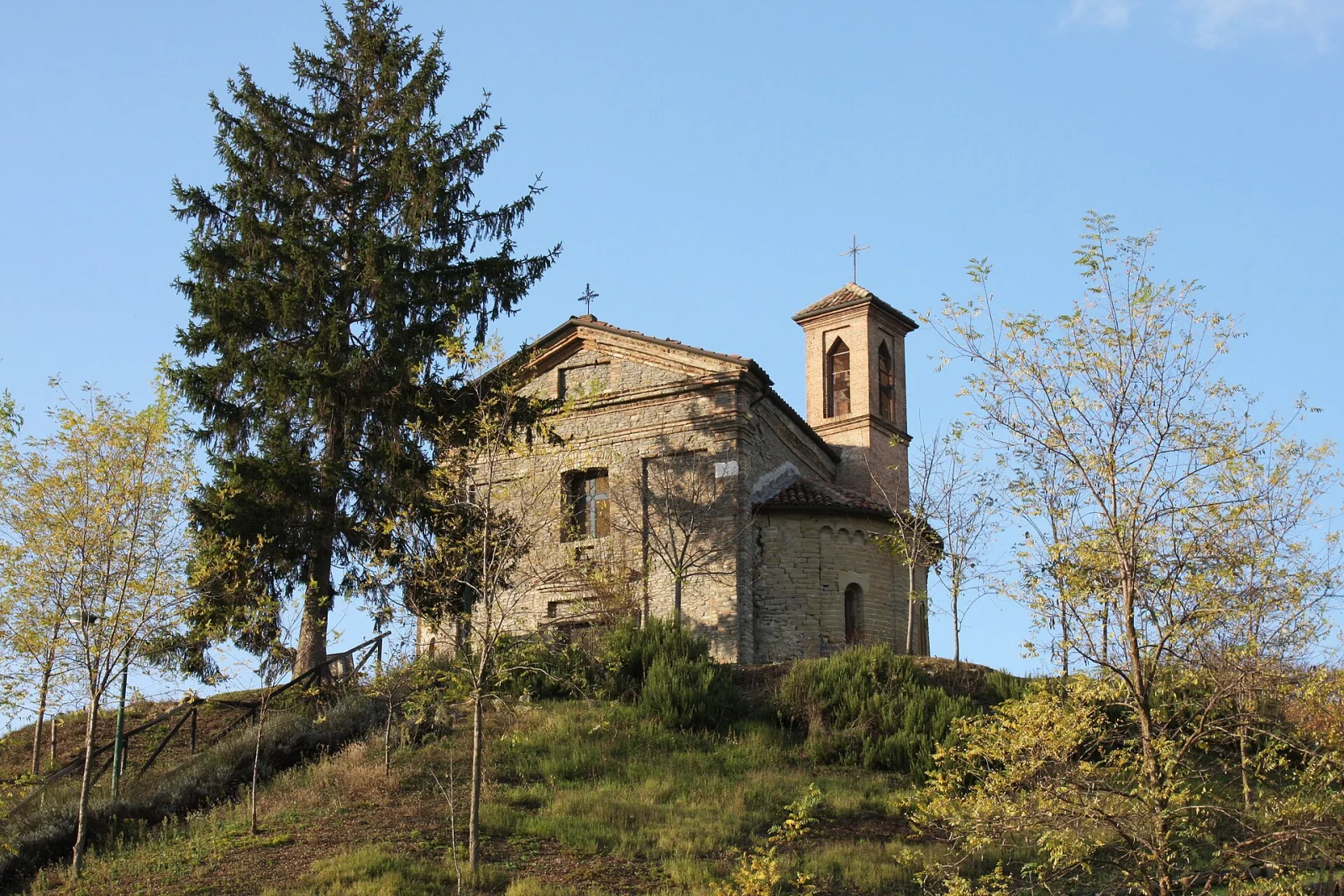 Calamandrana