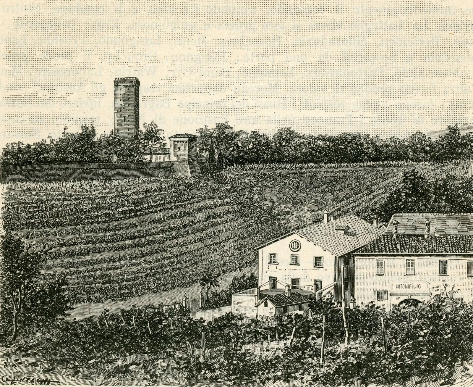 Novi Ligure