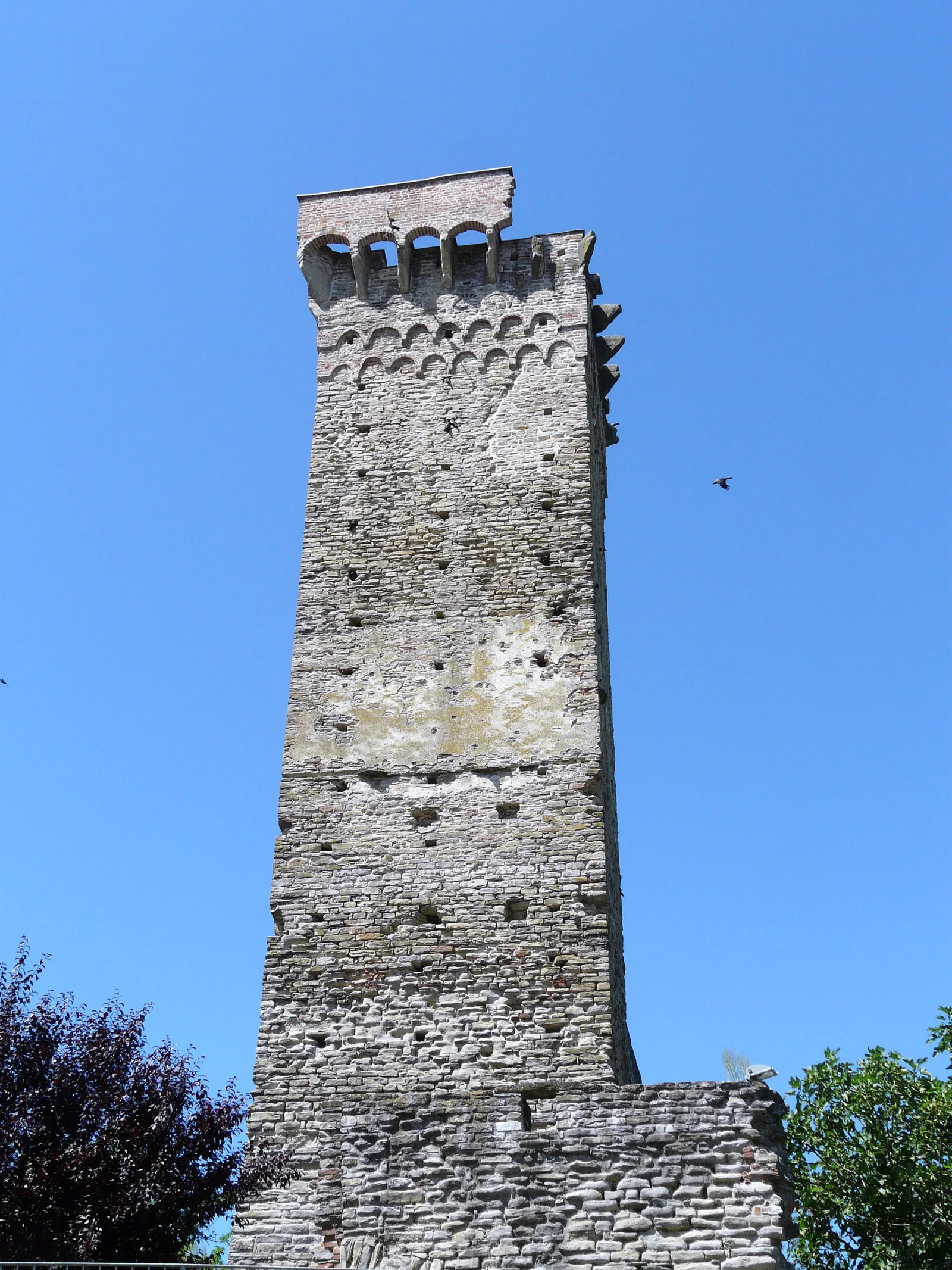 Visone