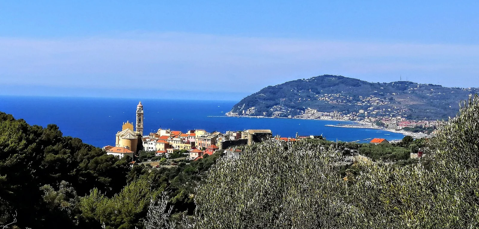 Cervo