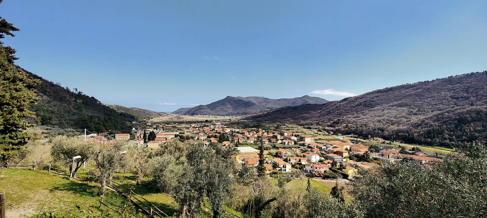 Ortovero