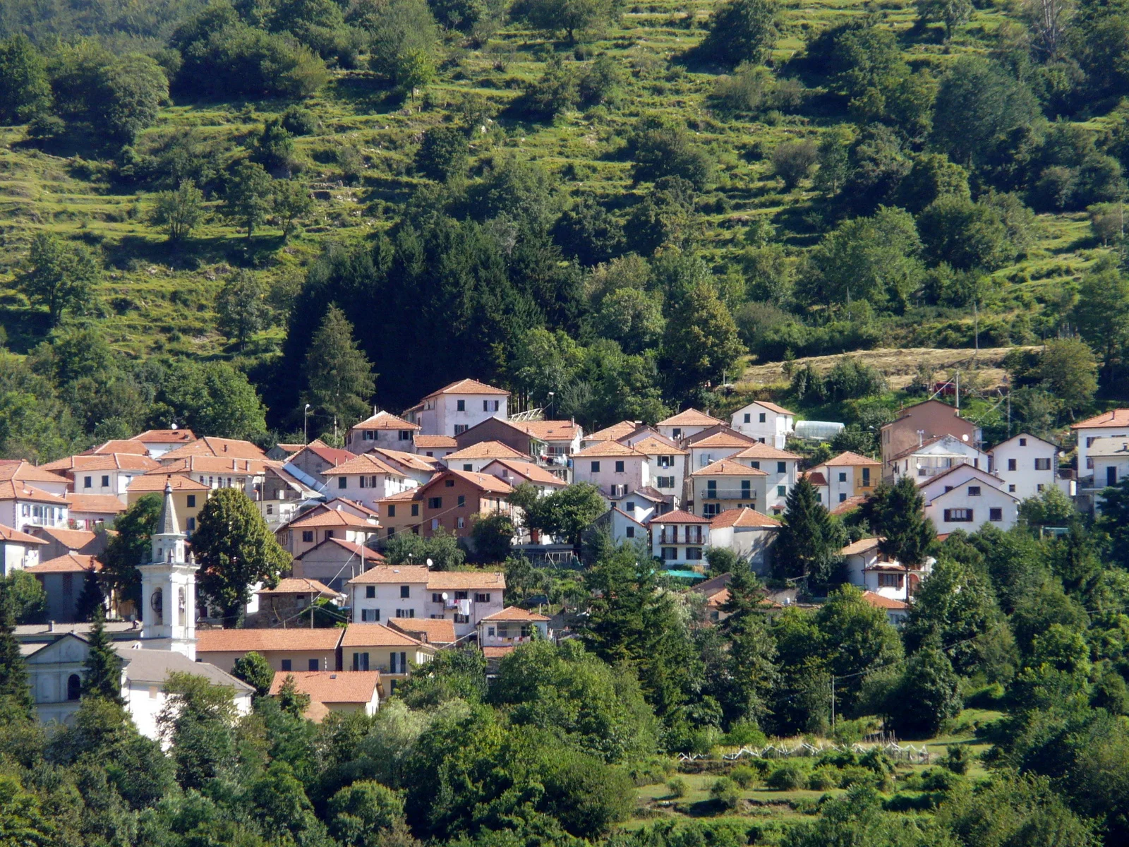 Propata