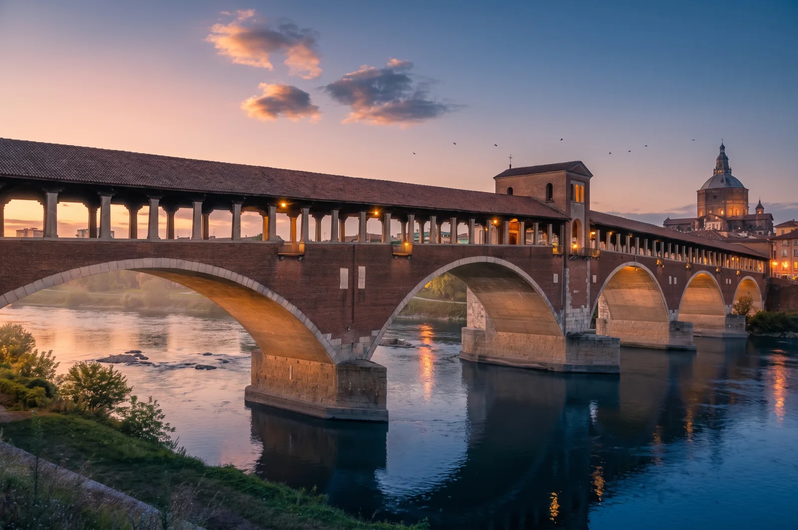Pavia