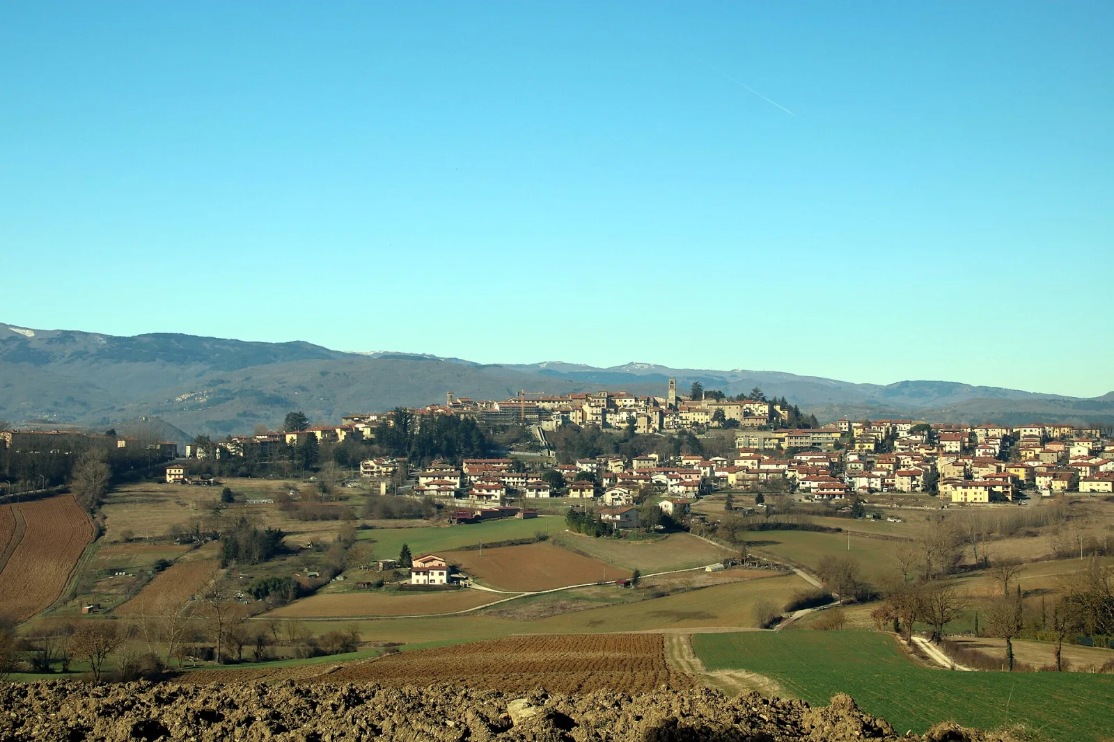 Bibbiena