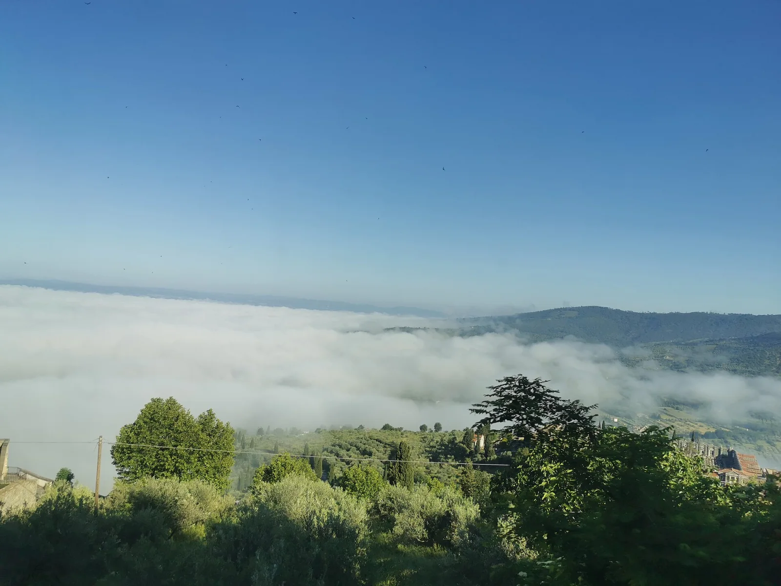 Cortona