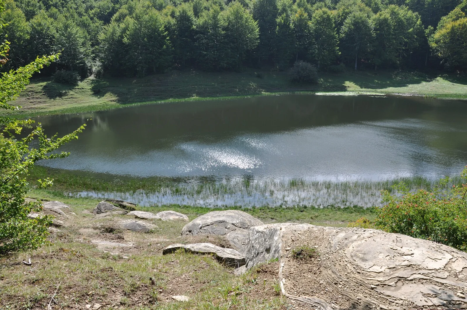 Accumoli