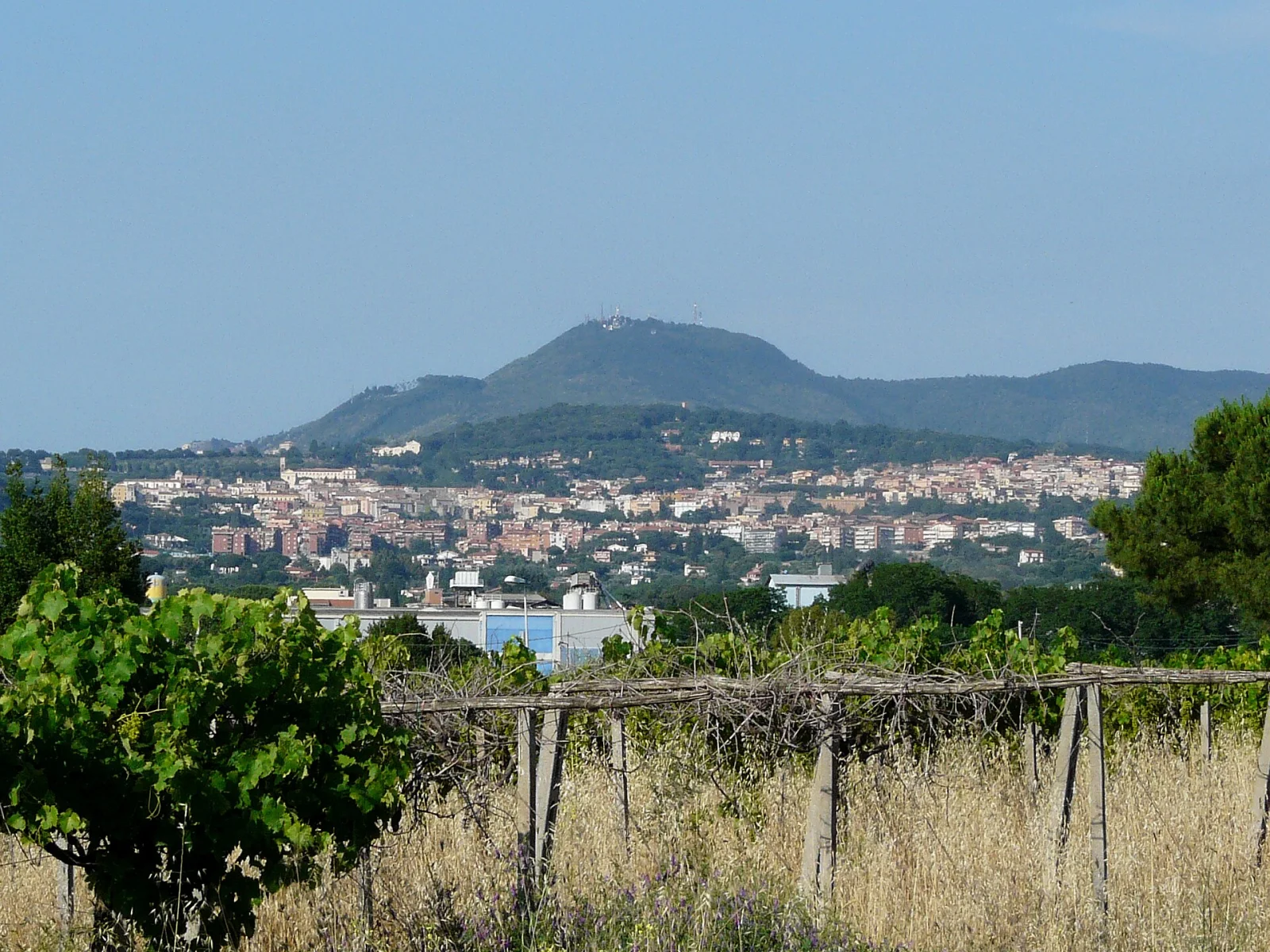 Castelli Romani