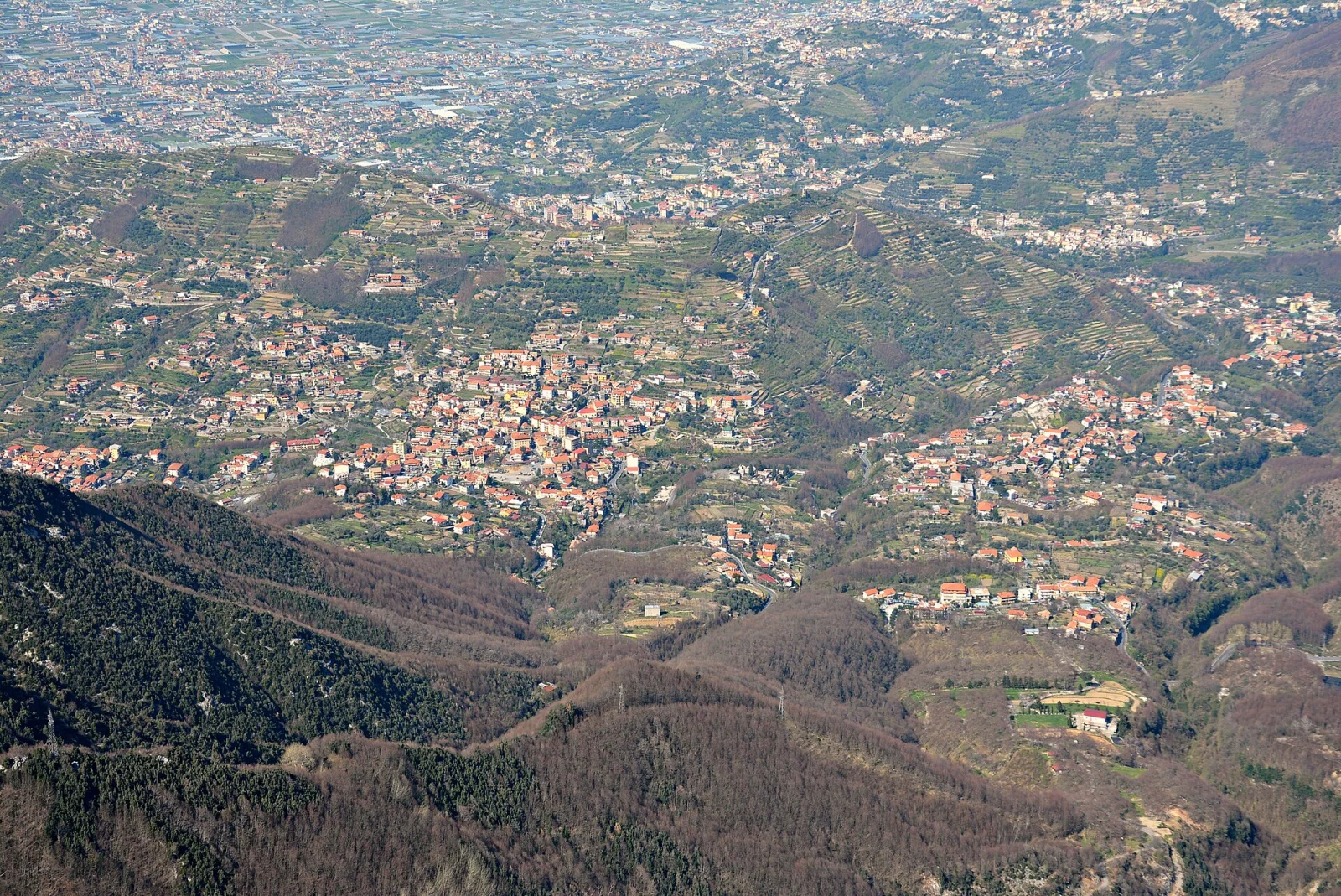 Pimonte