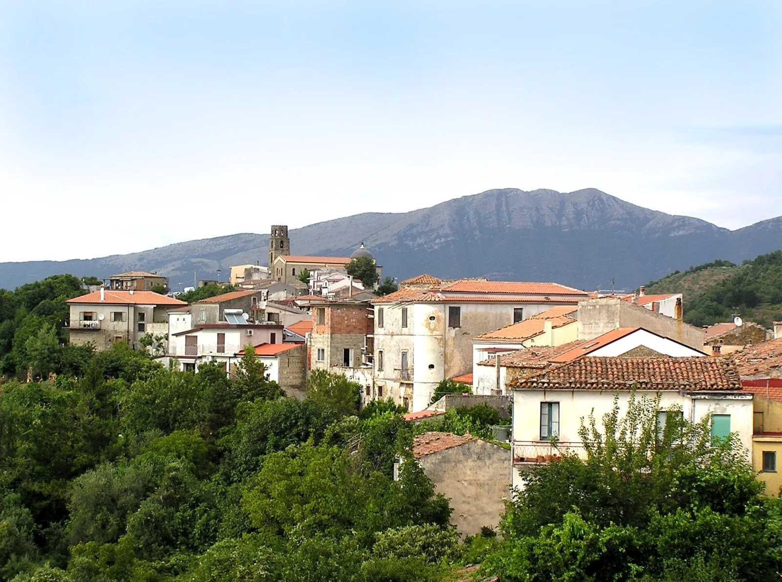 Perito