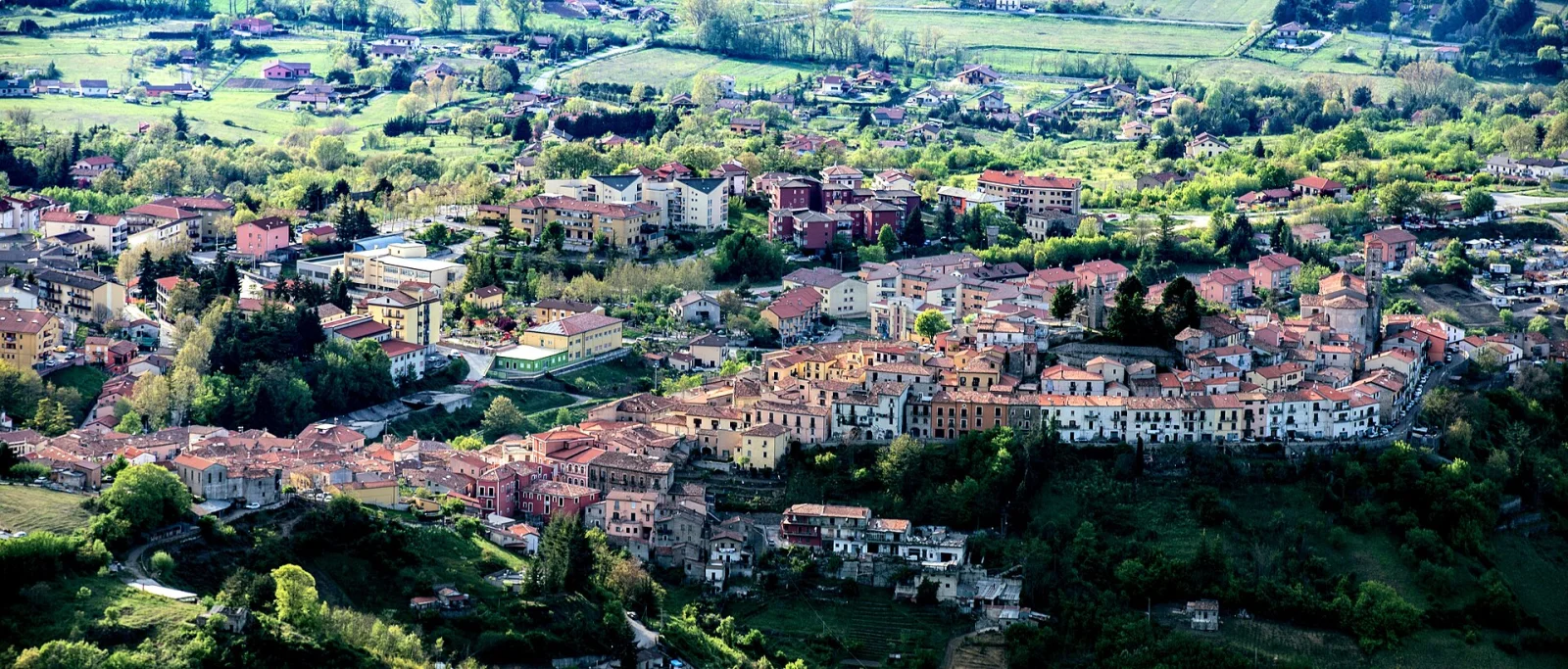 Pignola