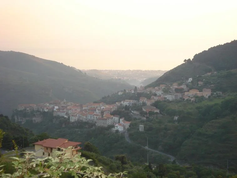 Tortora