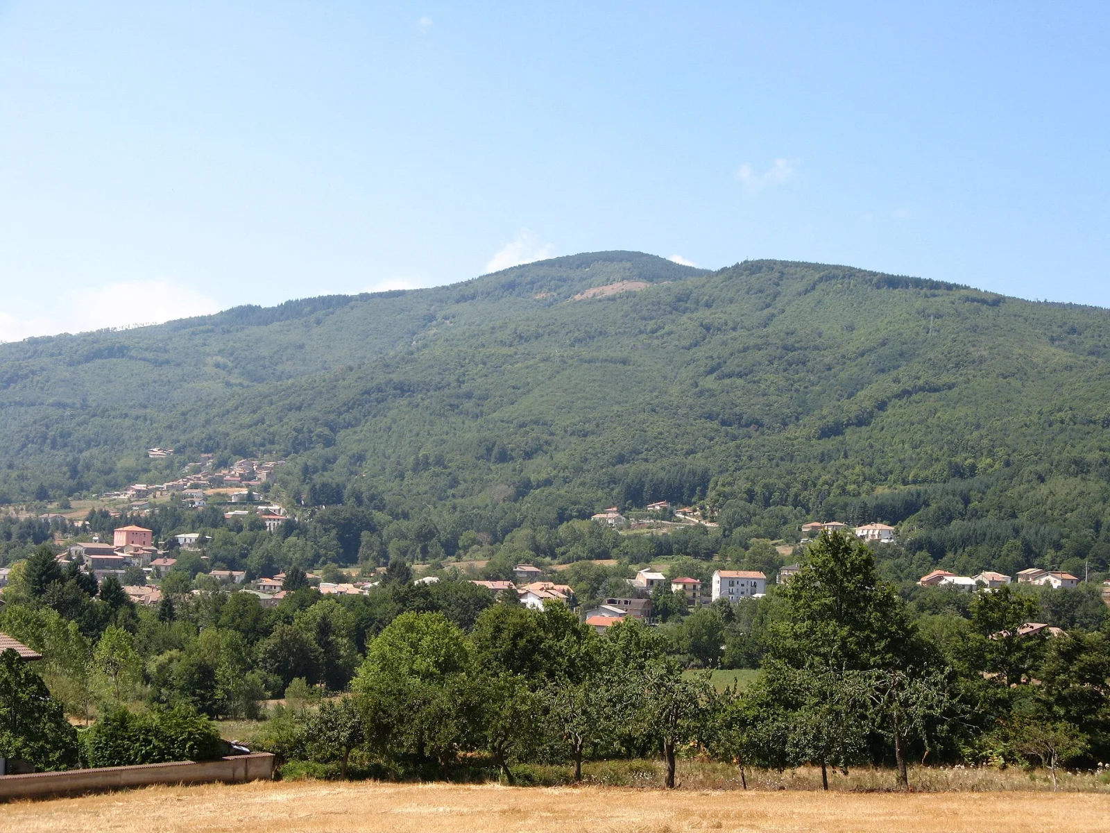 Decollatura
