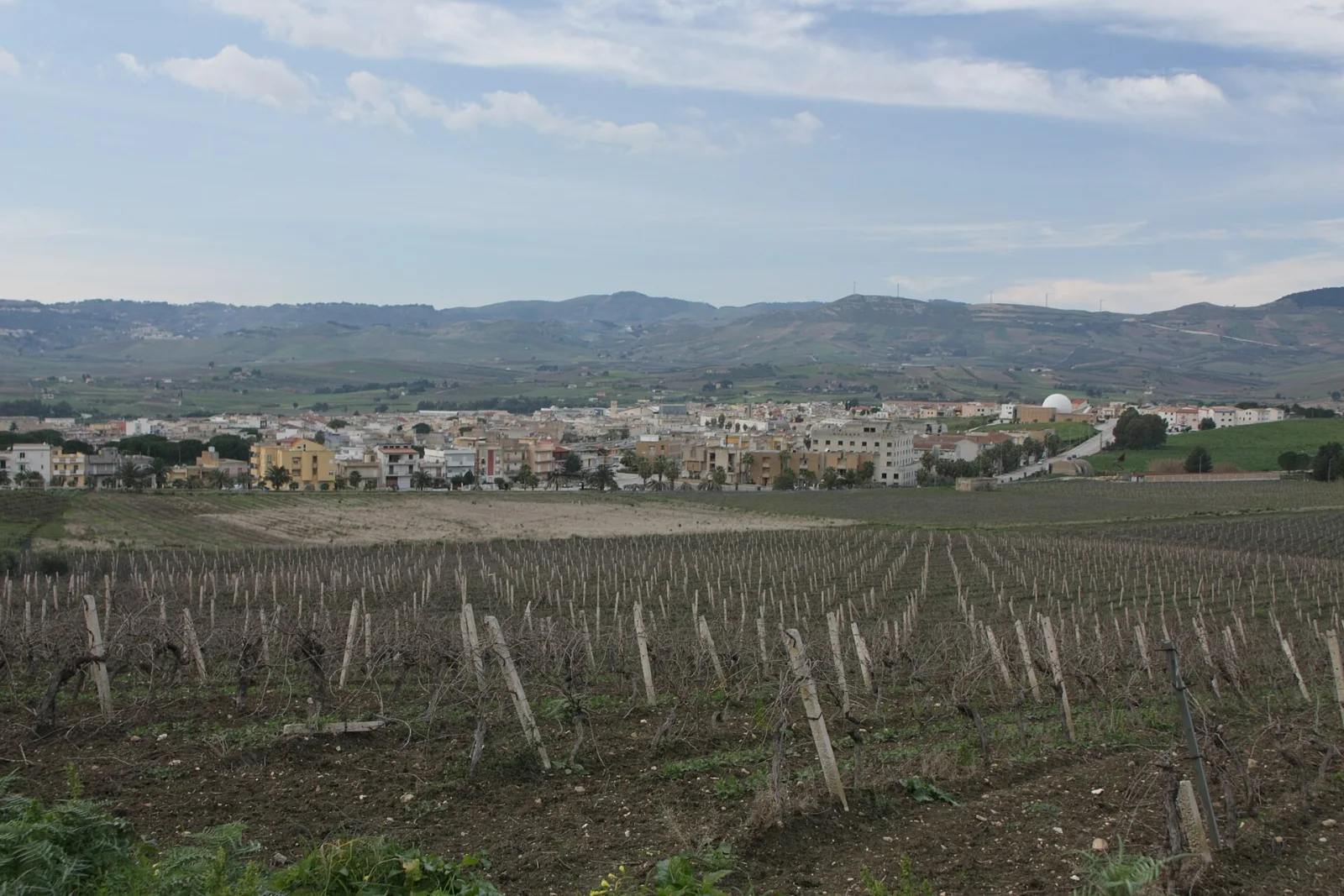 Gibellina