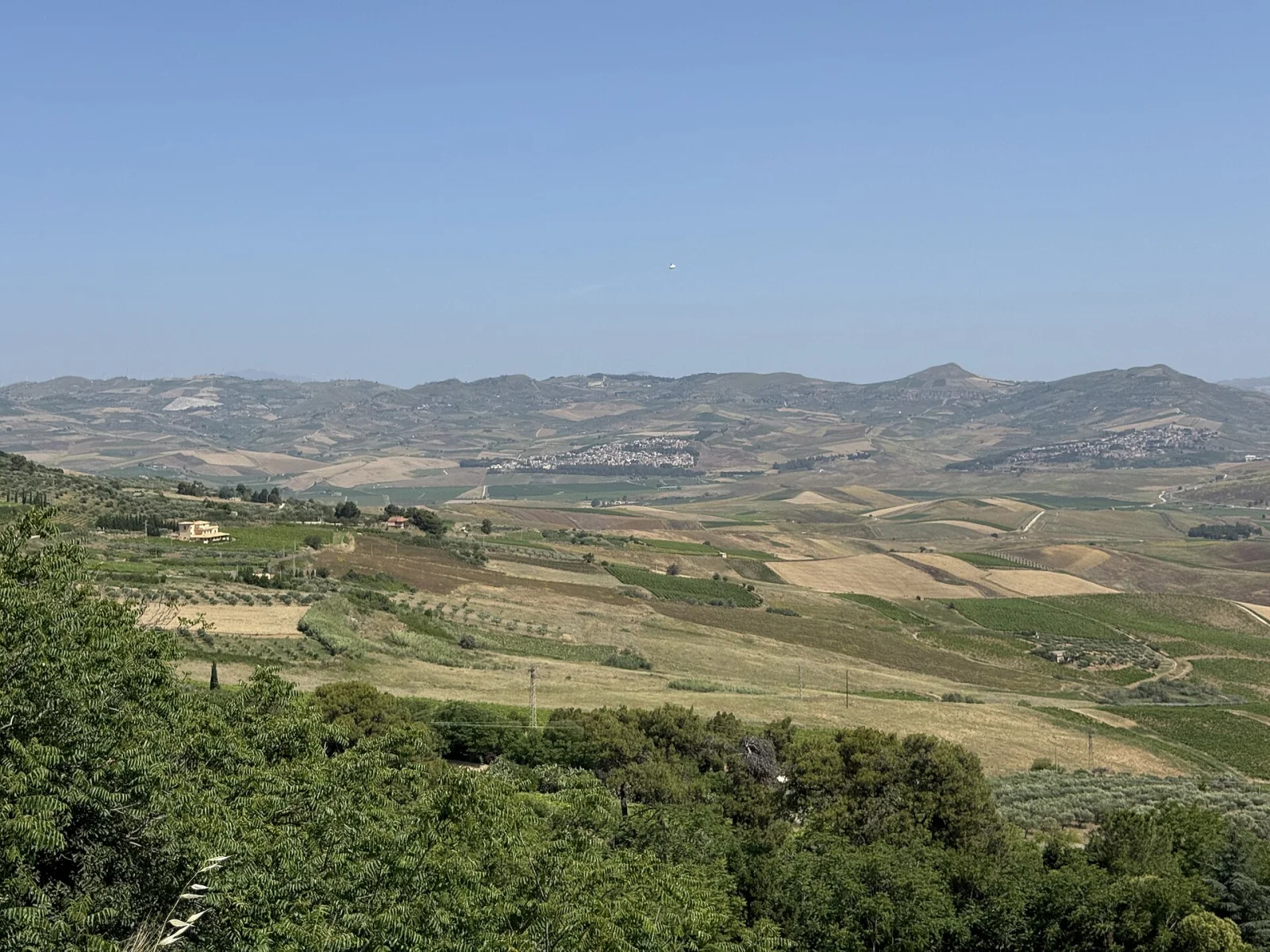 Salaparuta