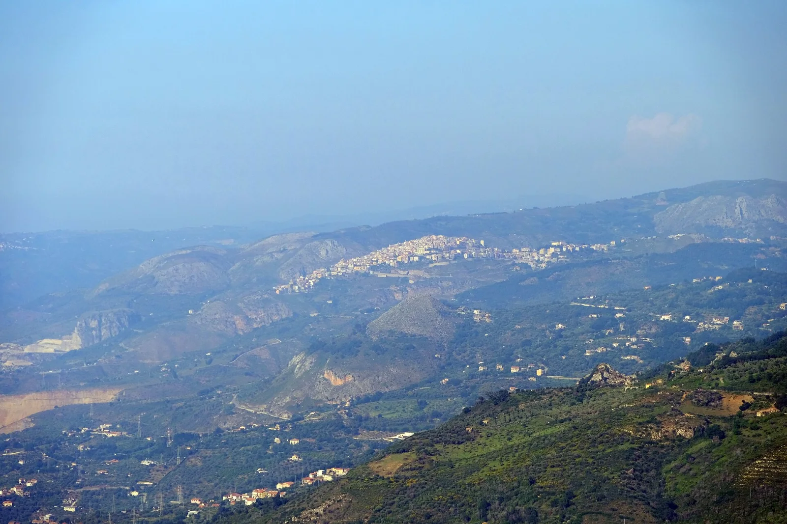 Militello Rosmarino