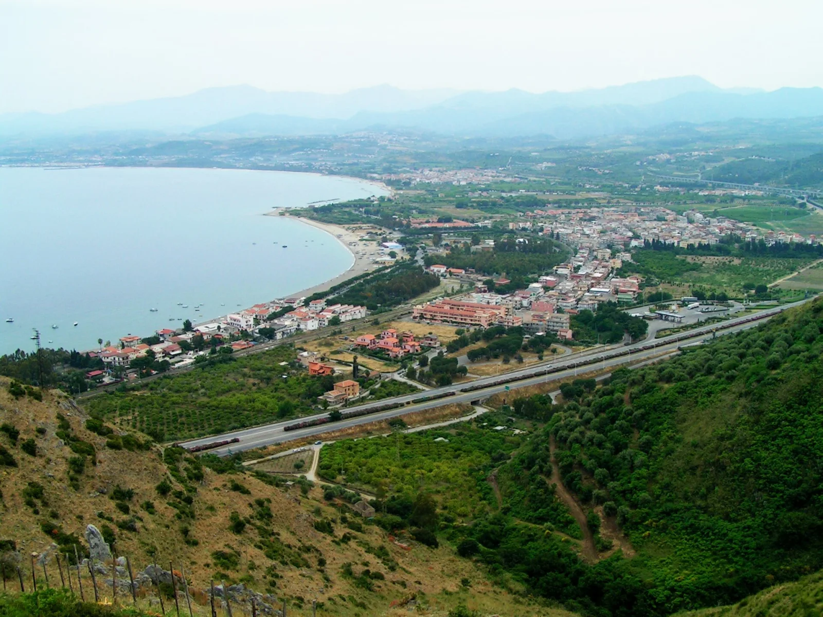 Oliveri