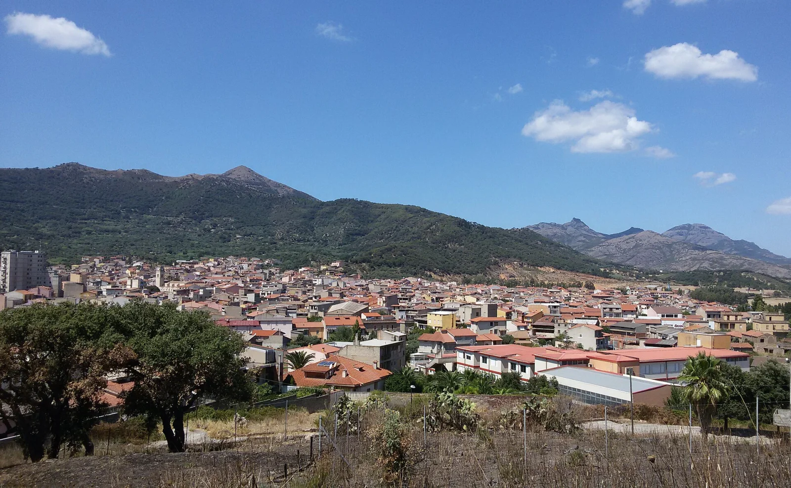 Guspini