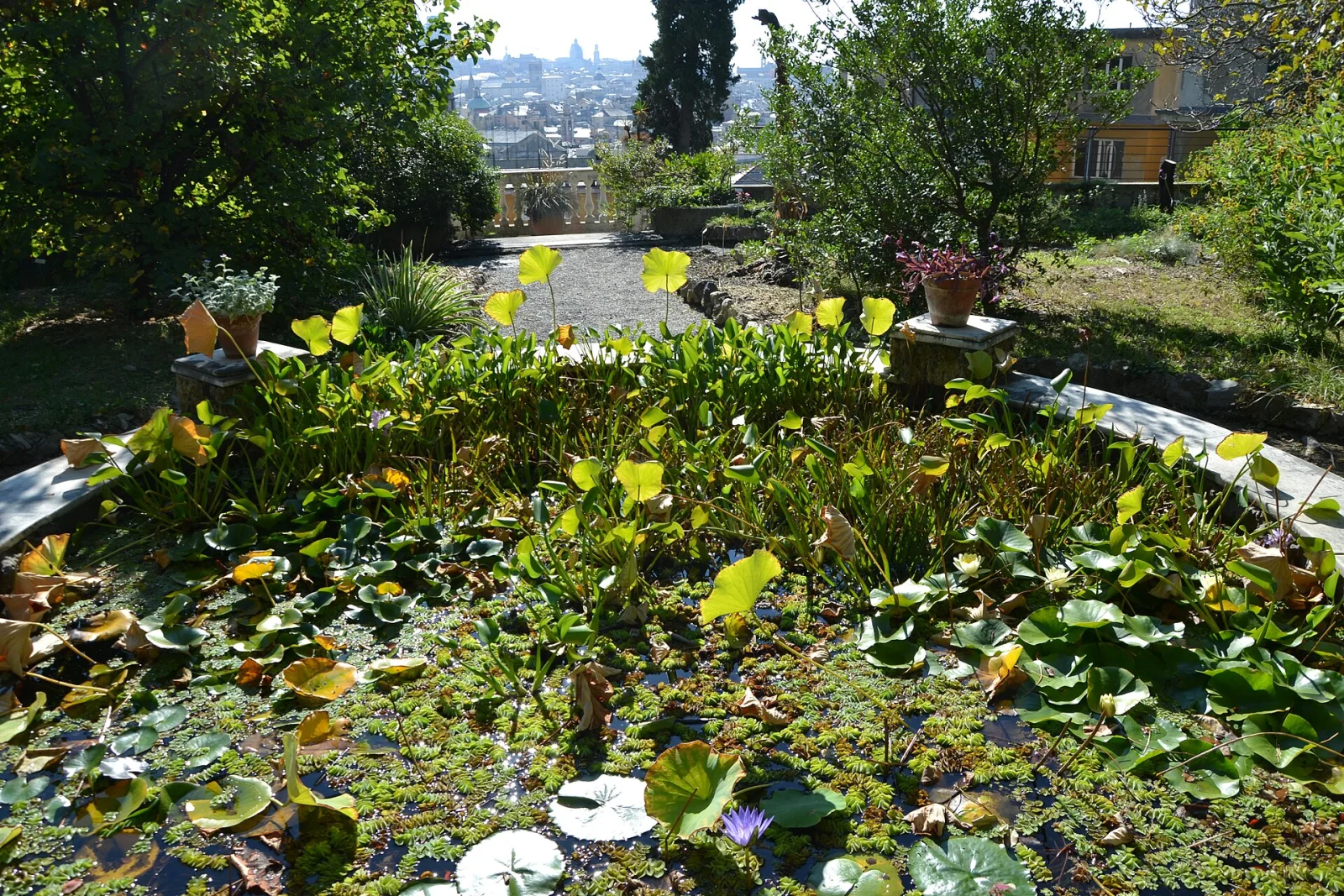 Orto botanico dell'Università di Genova