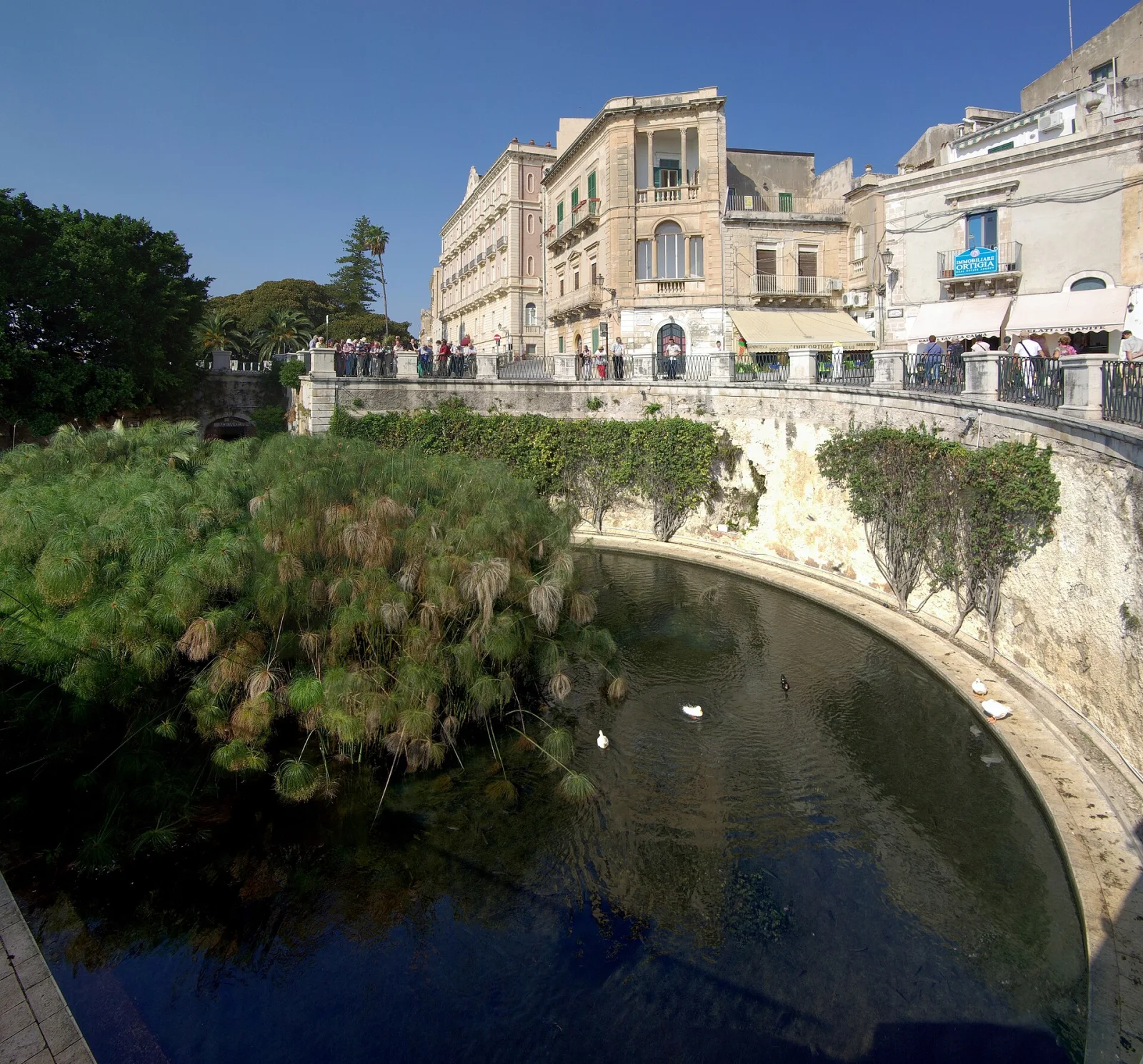 fonte Aretusa
