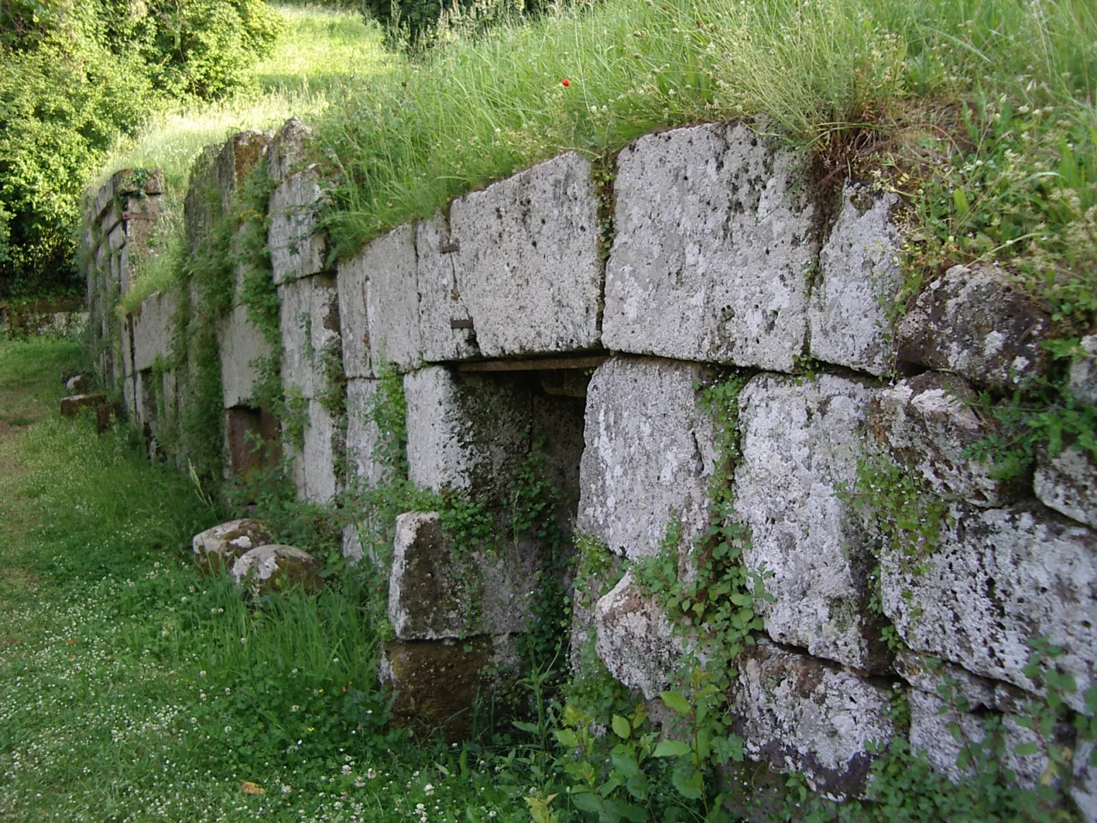 necropoli del Crocifisso del Tufo