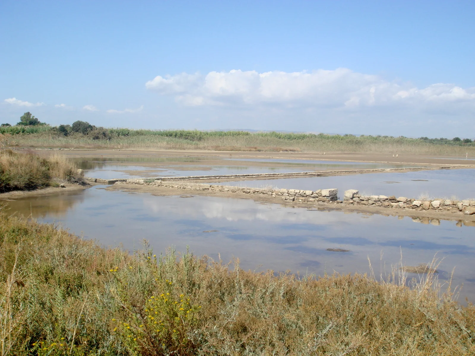 Saline di Vendicari