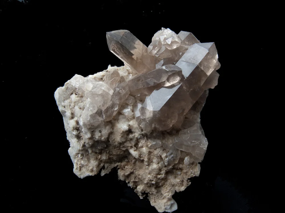Museo mineralogico e paleontologico del Cenacolo Italo Mus