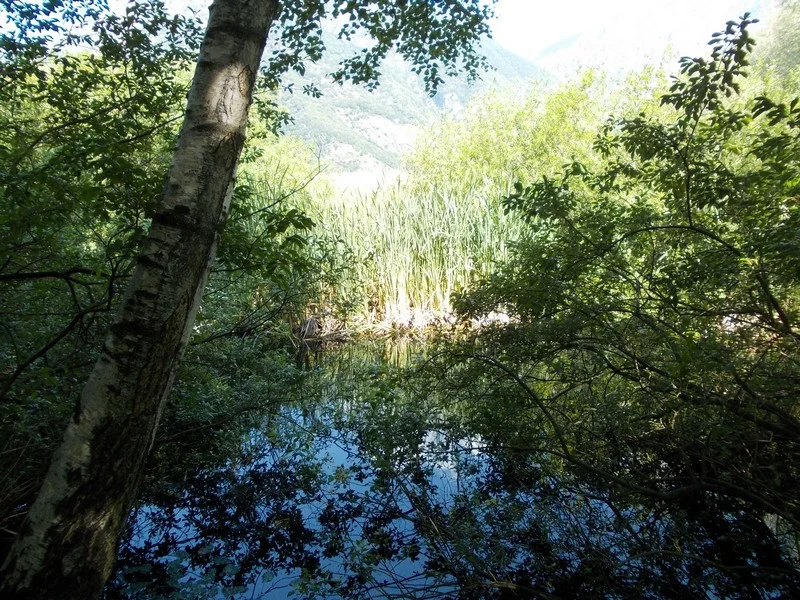 Riserva naturale stagno di Holay
