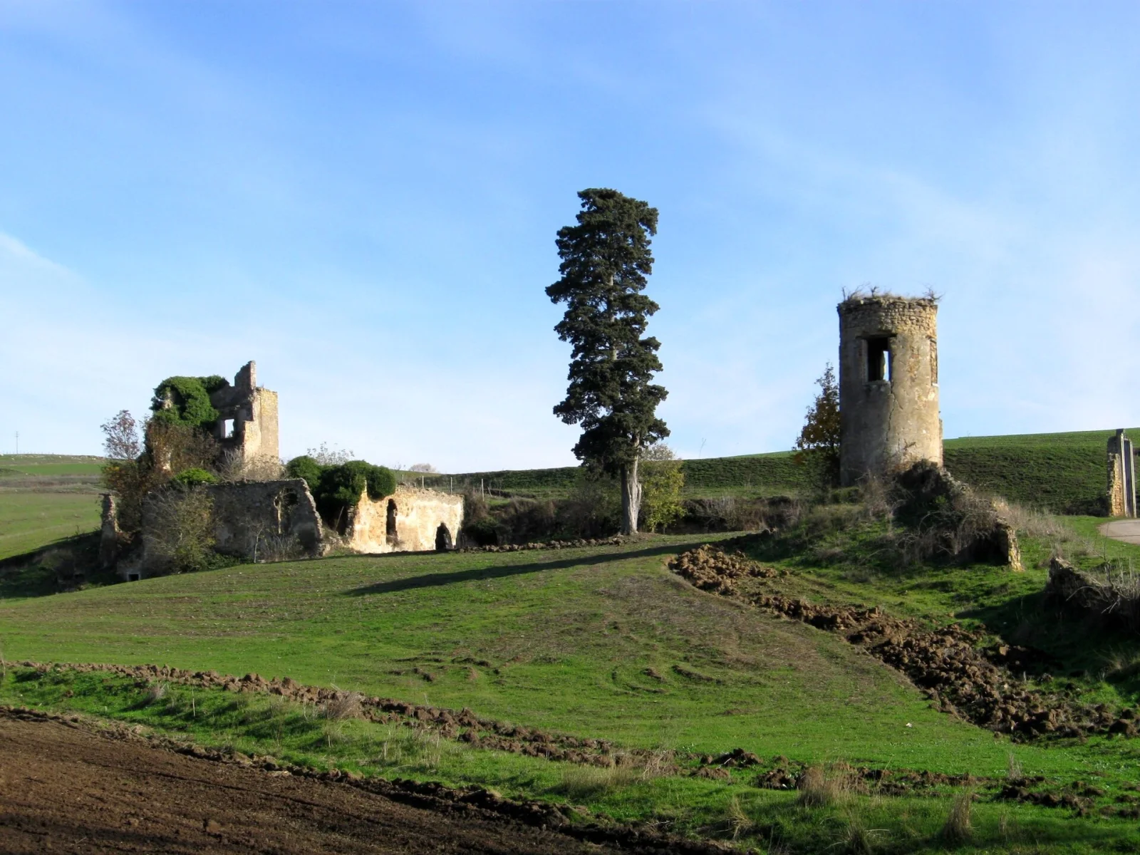 Complesso archeologico di Torre degli Embrici