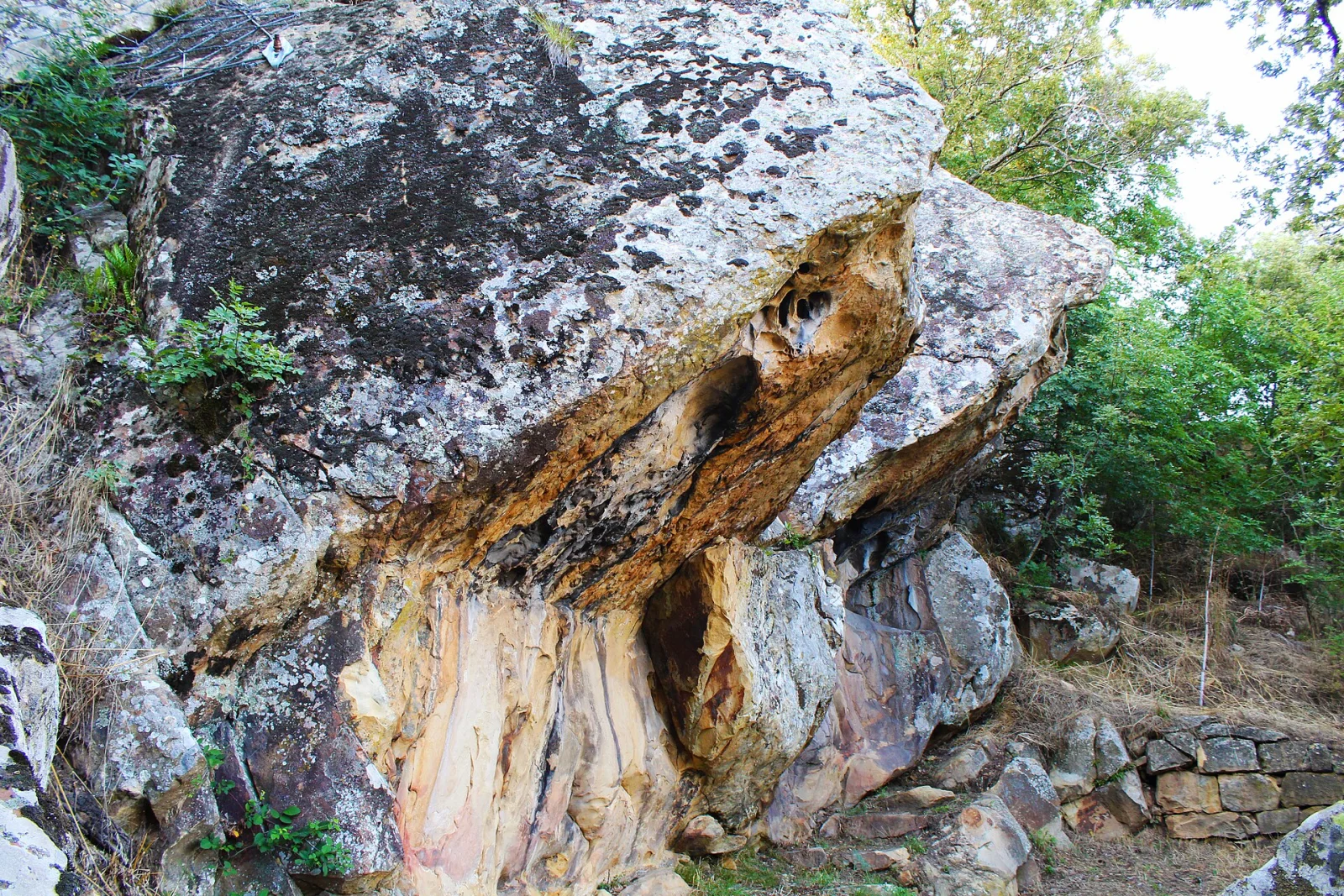 Tuppo dei sassi