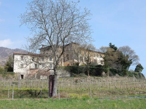 Caselette