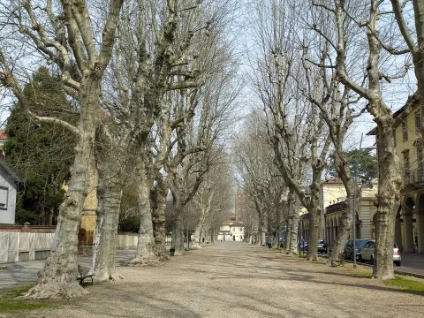 Ciriè