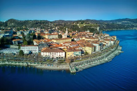 Arona in Rosa