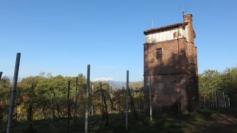 Cavallirio