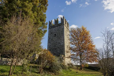 Invorio