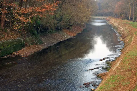 San Giovanni Battista, patrono nel comune del Parco della Camarlona