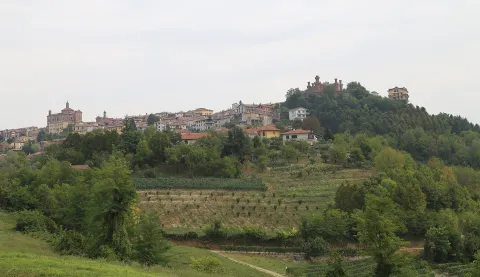 Novello