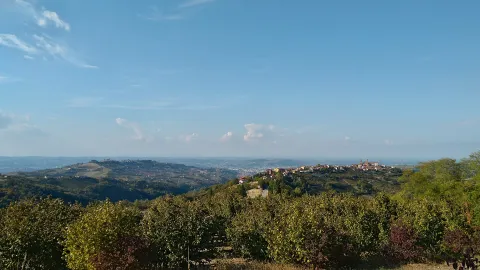 Rodello