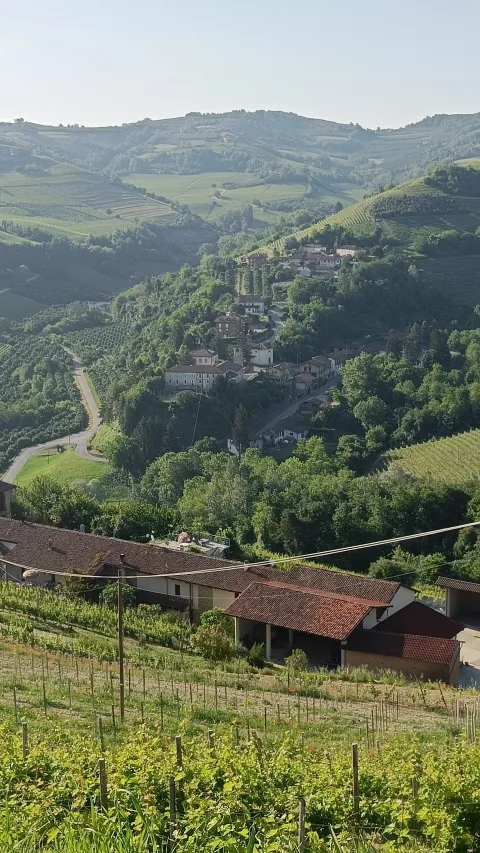 Trezzo Tinella