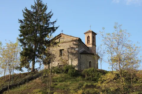 Calamandrana