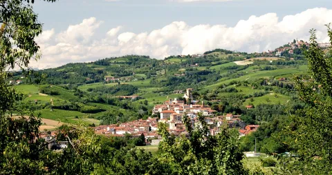 San Rocco, patrono nella città natale di Don Bosco
