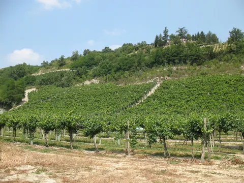 Loazzolo