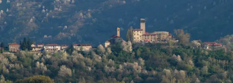 Olmo Gentile