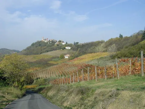 San Marzano Oliveto