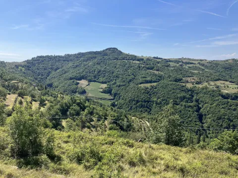Serole