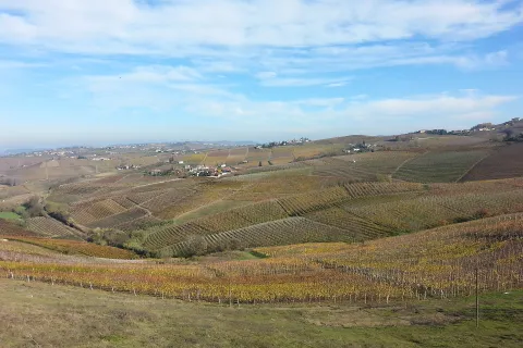 Rolling hills and vineyards in the countryside around Acqui Terme, Piedmont