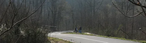 Malvicino