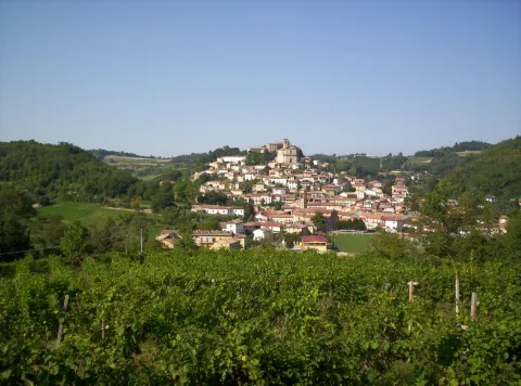 Ottiglio