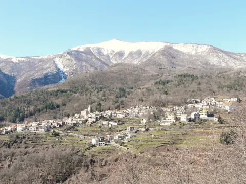 Historic Alpine Pasture Procession and Goat Palio