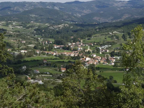 Mioglia