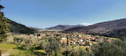 Ortovero